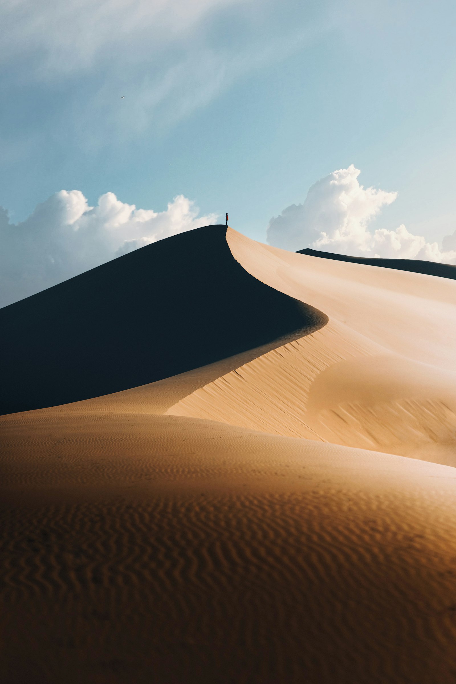 Canon EOS 5D Mark IV + Sigma 85mm F1.4 EX DG HSM sample photo. Brown sand under blue photography