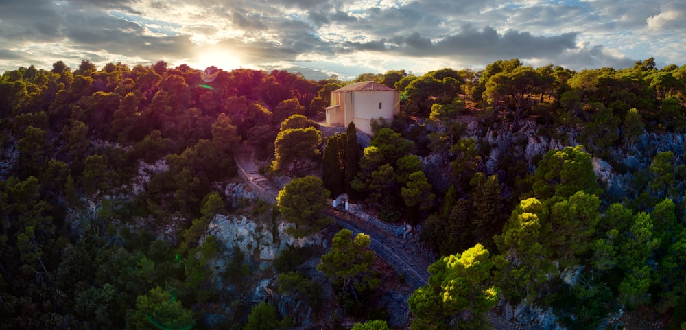 alberi verdi sotto il cielo nuvoloso durante il giorno