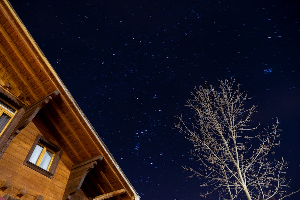 brown bare tree beside brown house during night time