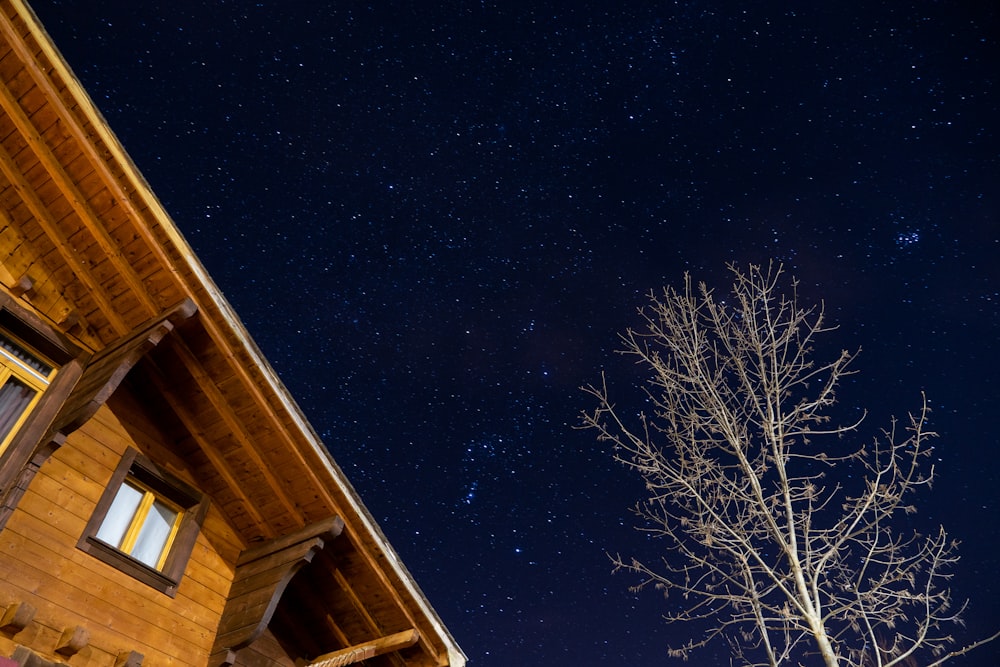 brown bare tree beside brown wooden house during night time