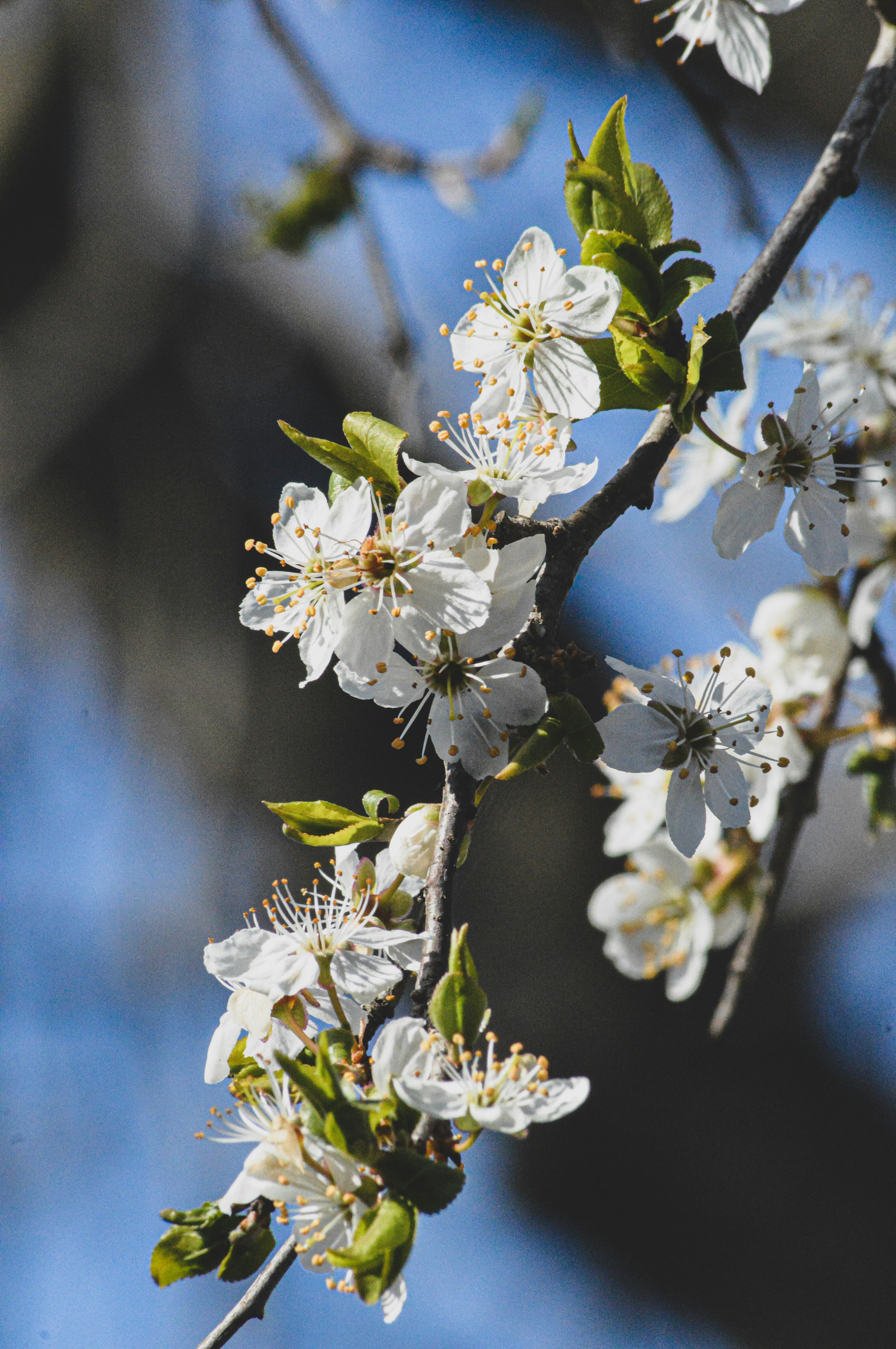 Photo by sam380967903116