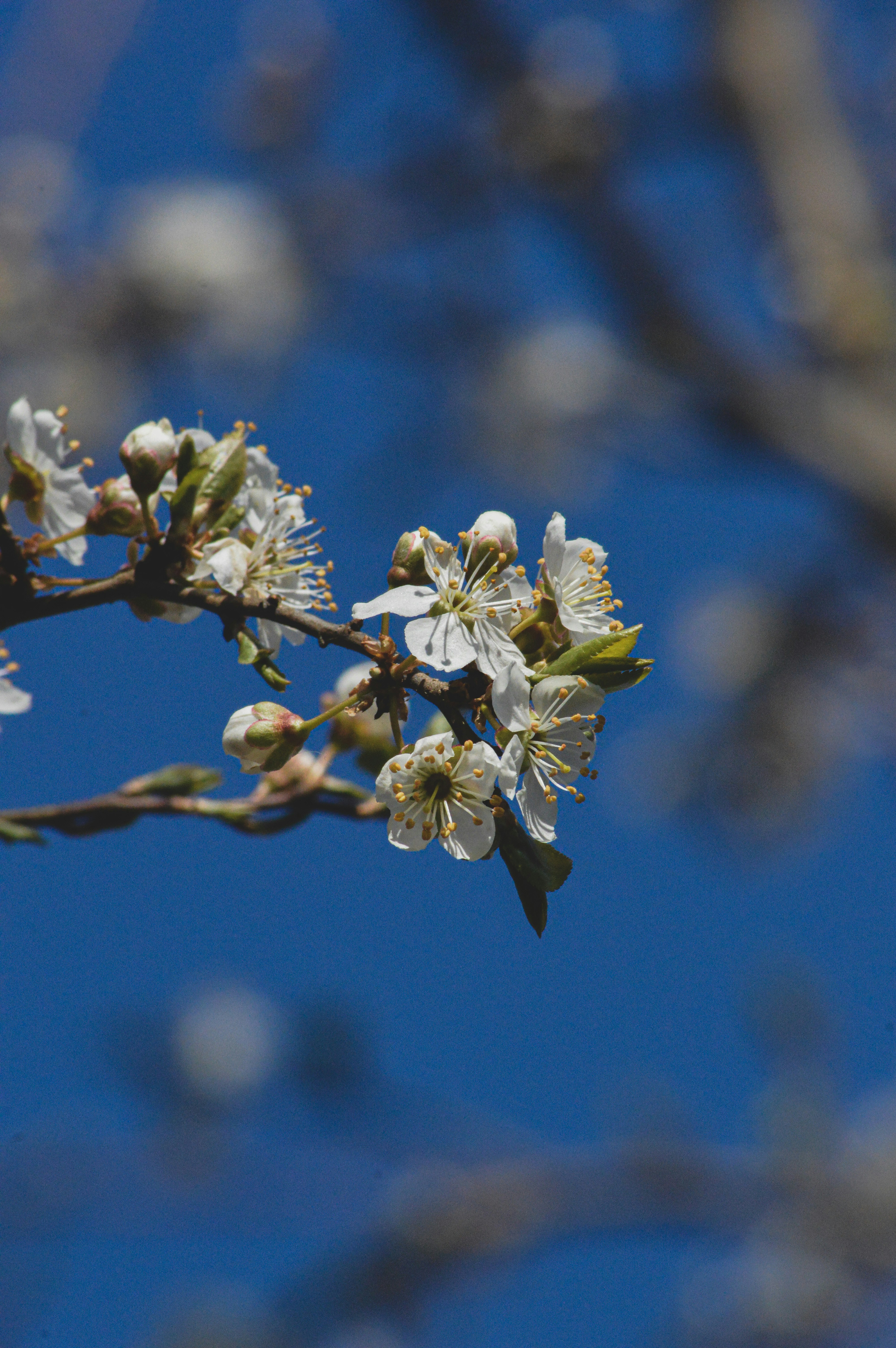 Photo by sam380967903116