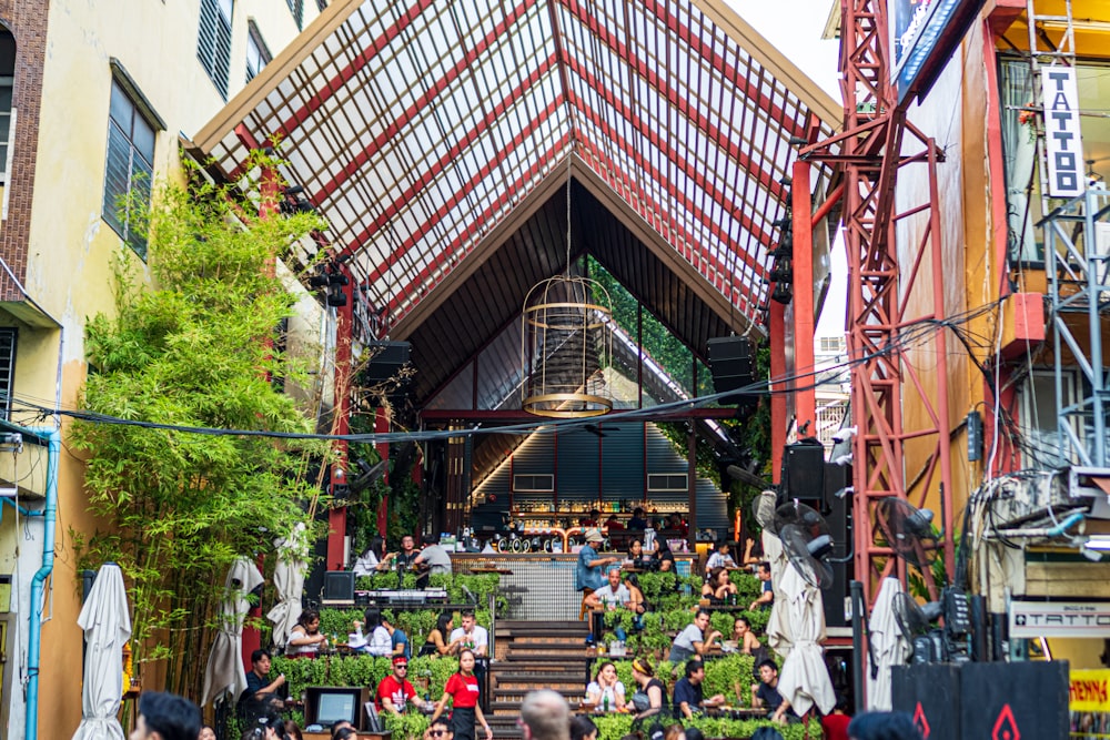 people sitting on stairs near green trees during daytime