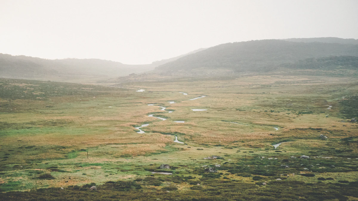 A stream winding through tussock grass in a misty high valley in Kosciuszko National Park