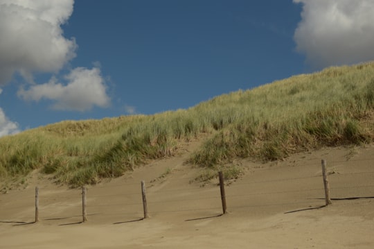 green grass field under blue sky during daytime in Zandvoort Netherlands