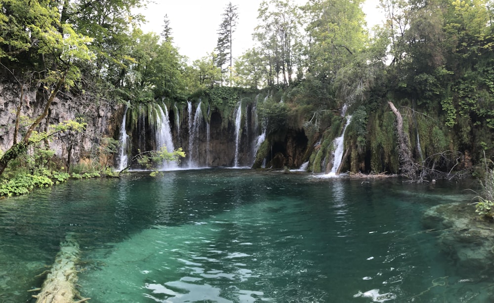 green body of water between green trees during daytime