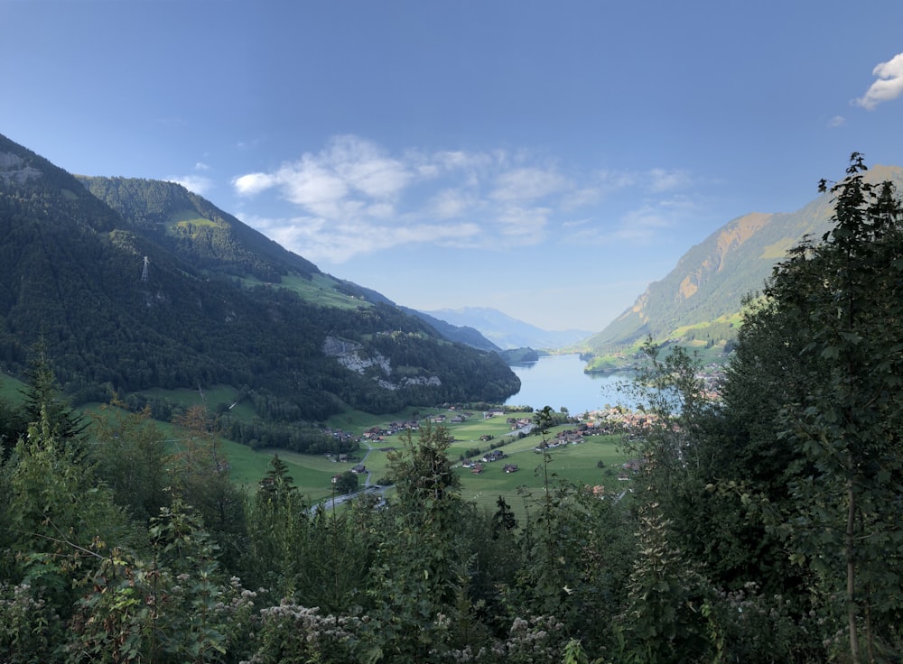 Grüne Bäume am Berg unter blauem Himmel tagsüber