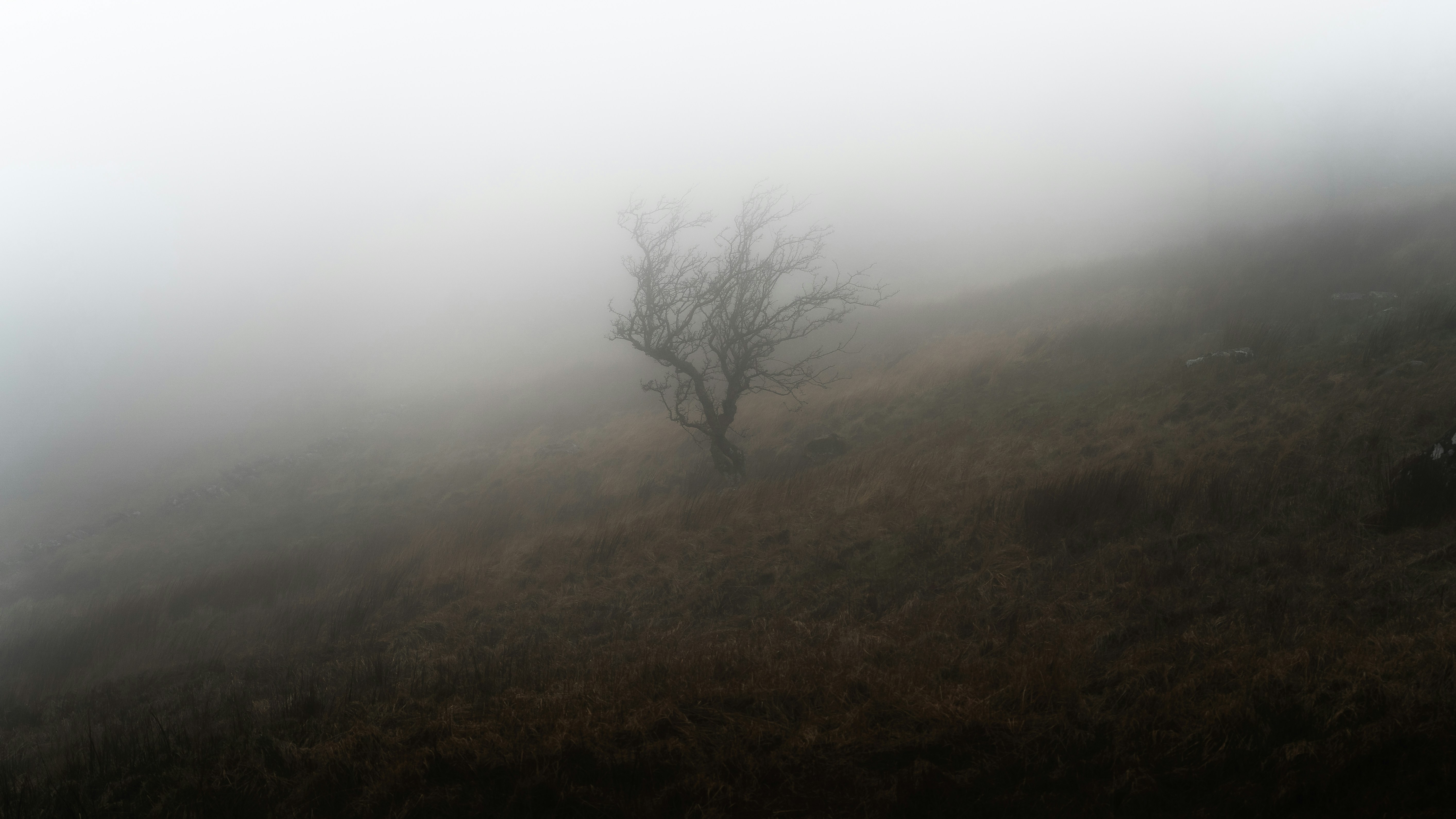 Photo by tylerscheviak