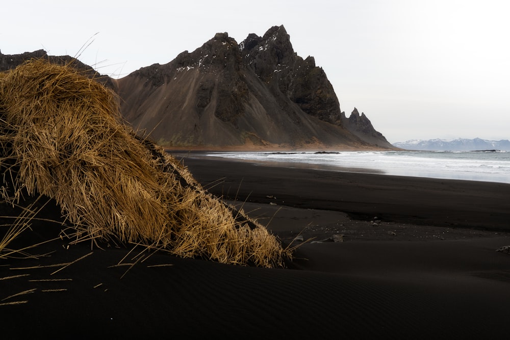 Hierba marrón en la orilla del mar cerca de la montaña durante el día