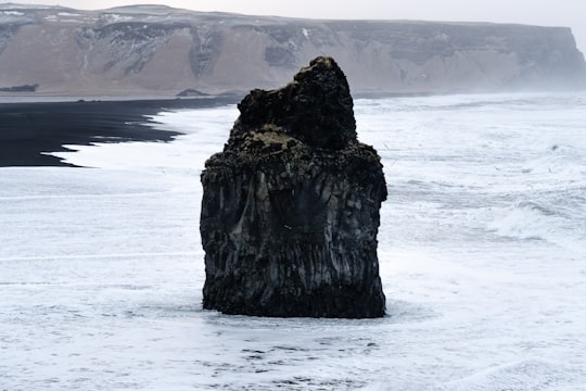 brown rock formation on body of water during daytime in Reynisdrangar Iceland