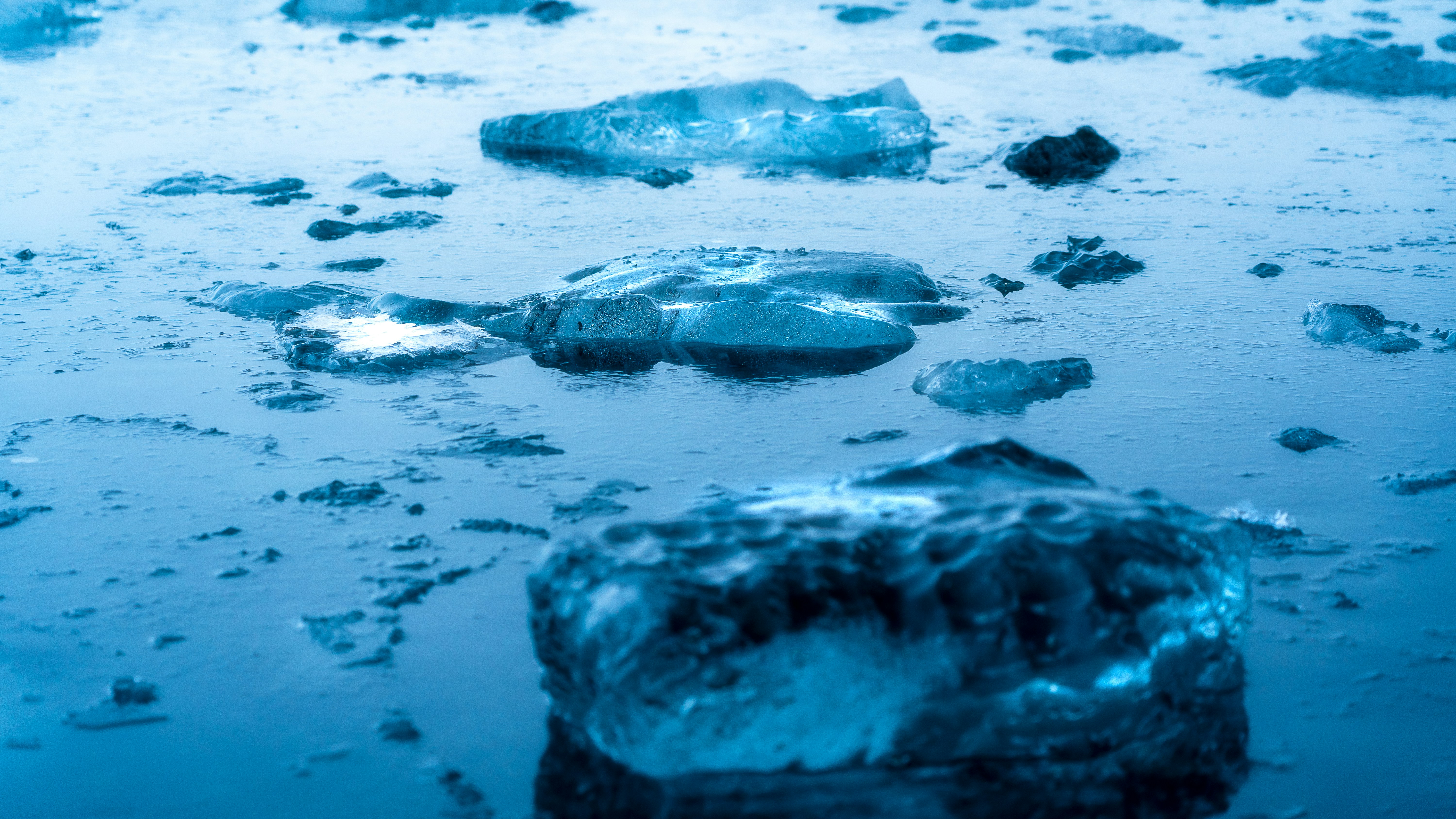 Photo by tylerscheviak