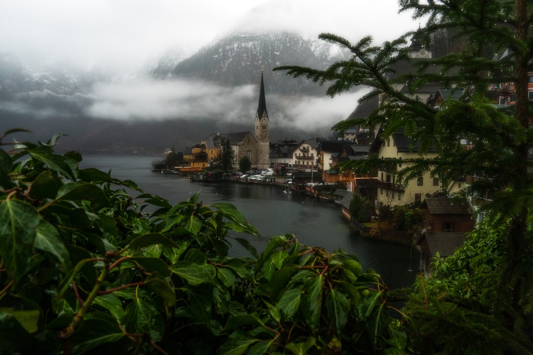 Mountain photo spot Hallstatt Hallstatt