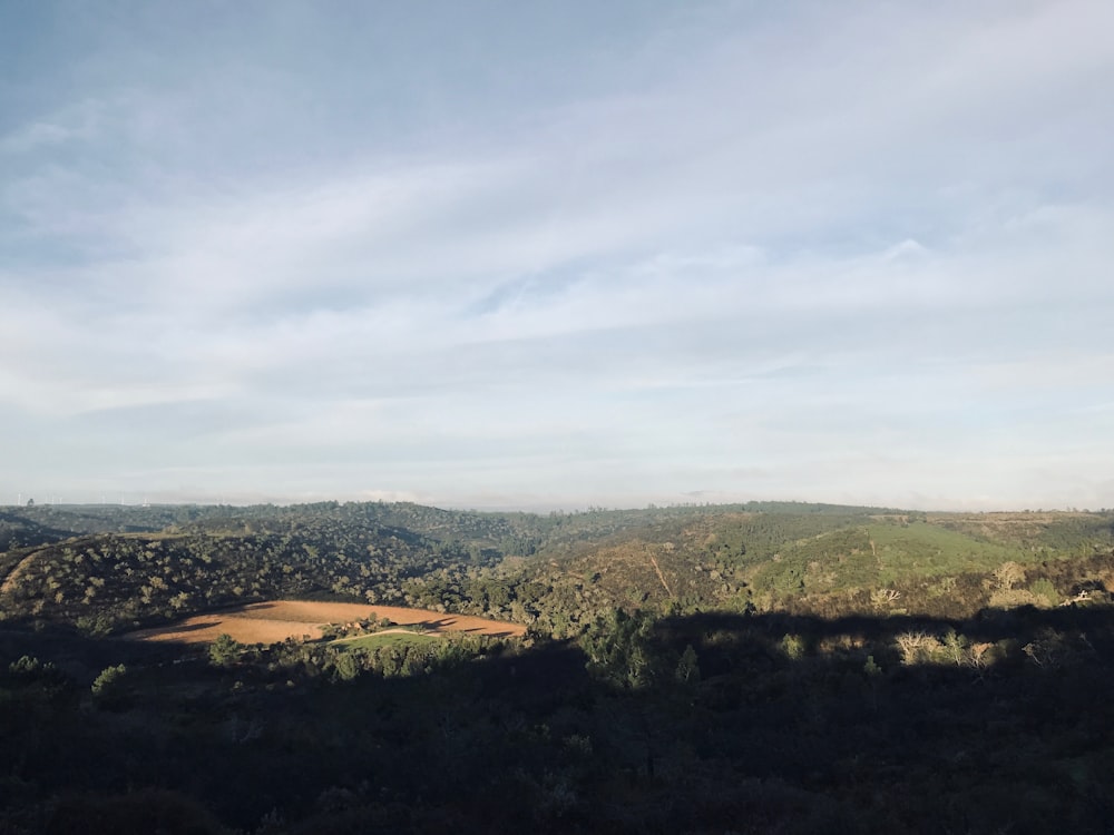 árboles verdes en la montaña bajo nubes blancas durante el día