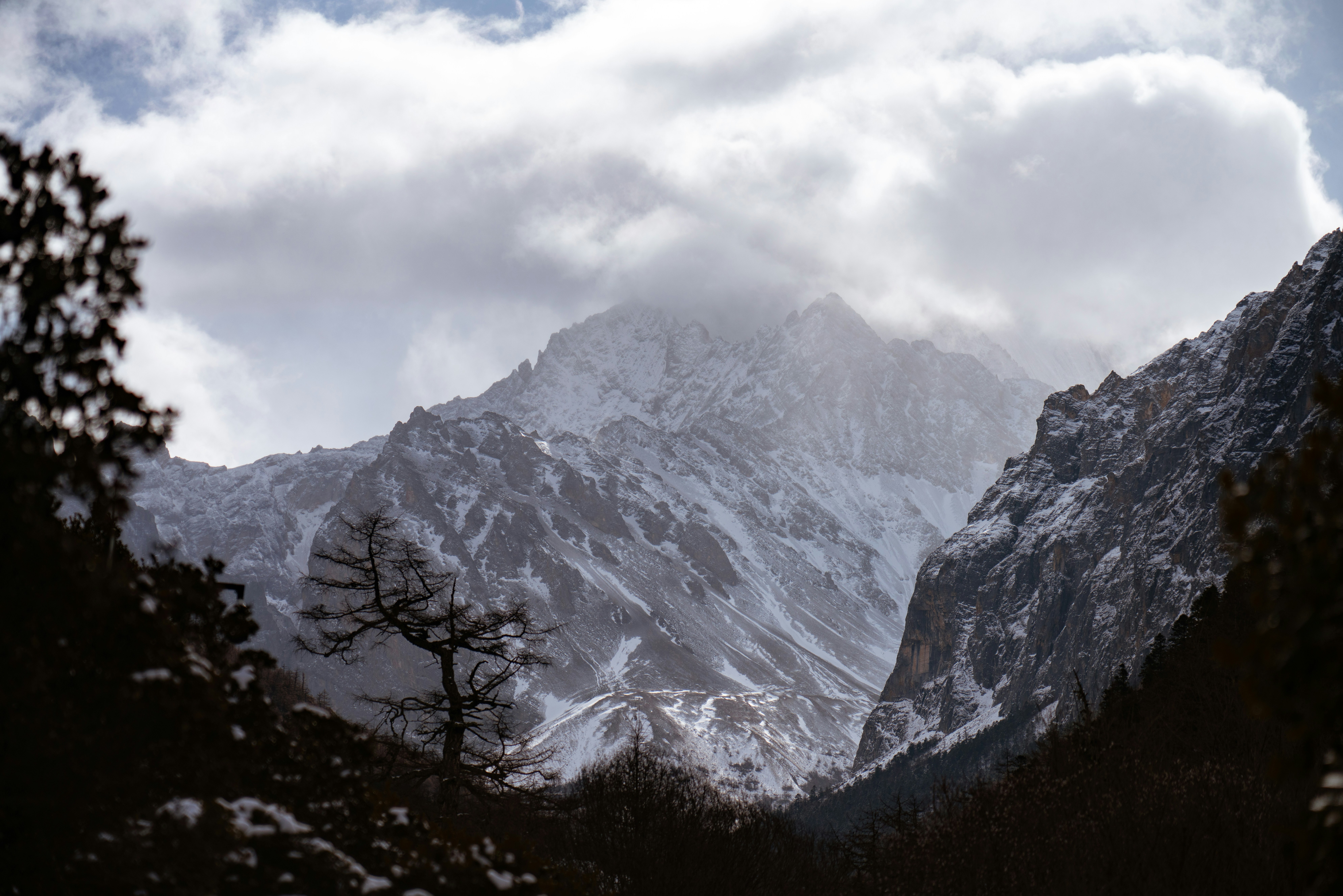 Photo by juniperphoton