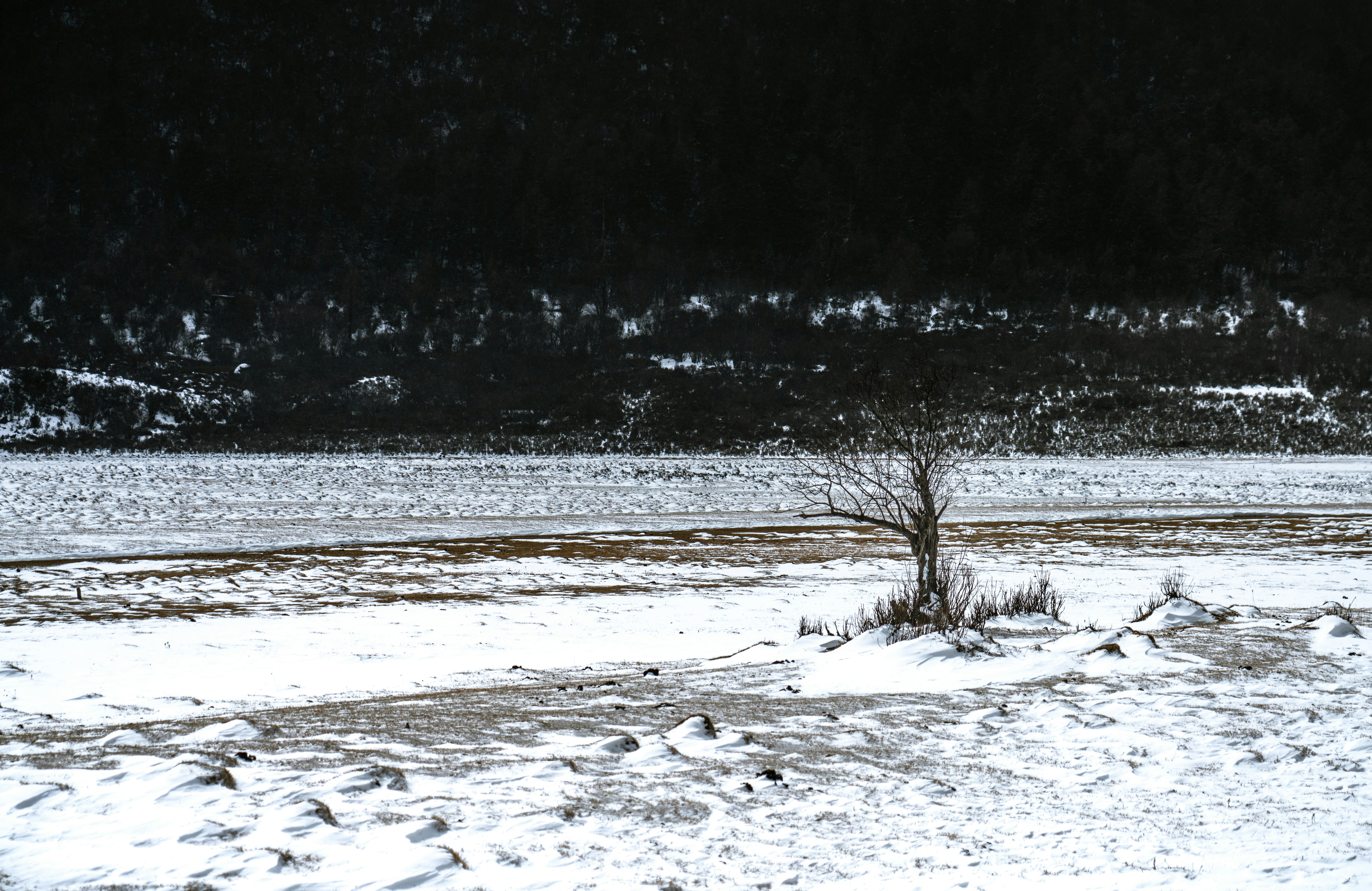 Photo by juniperphoton