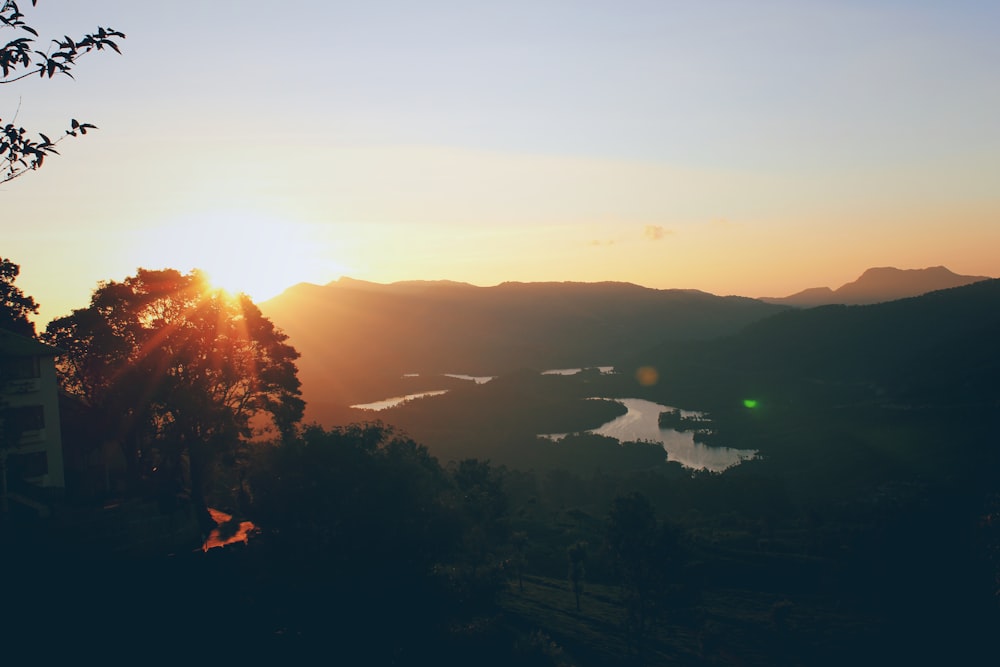 silhouette of trees during sunset