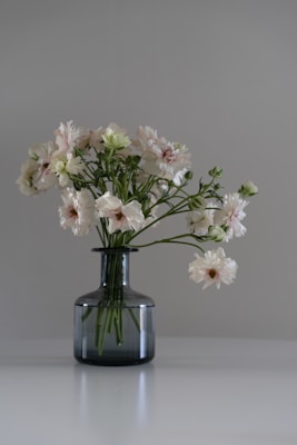 A bouquet of delicate white flowers with hints of pink and green is arranged in a sleek, dark glass vase. The background is a plain, muted gray, contributing to a minimalist aesthetic.