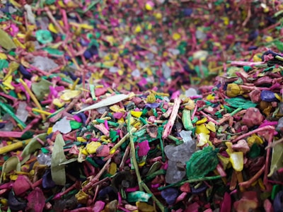 A vibrant collage of colorful objects representing the diversity of everything.