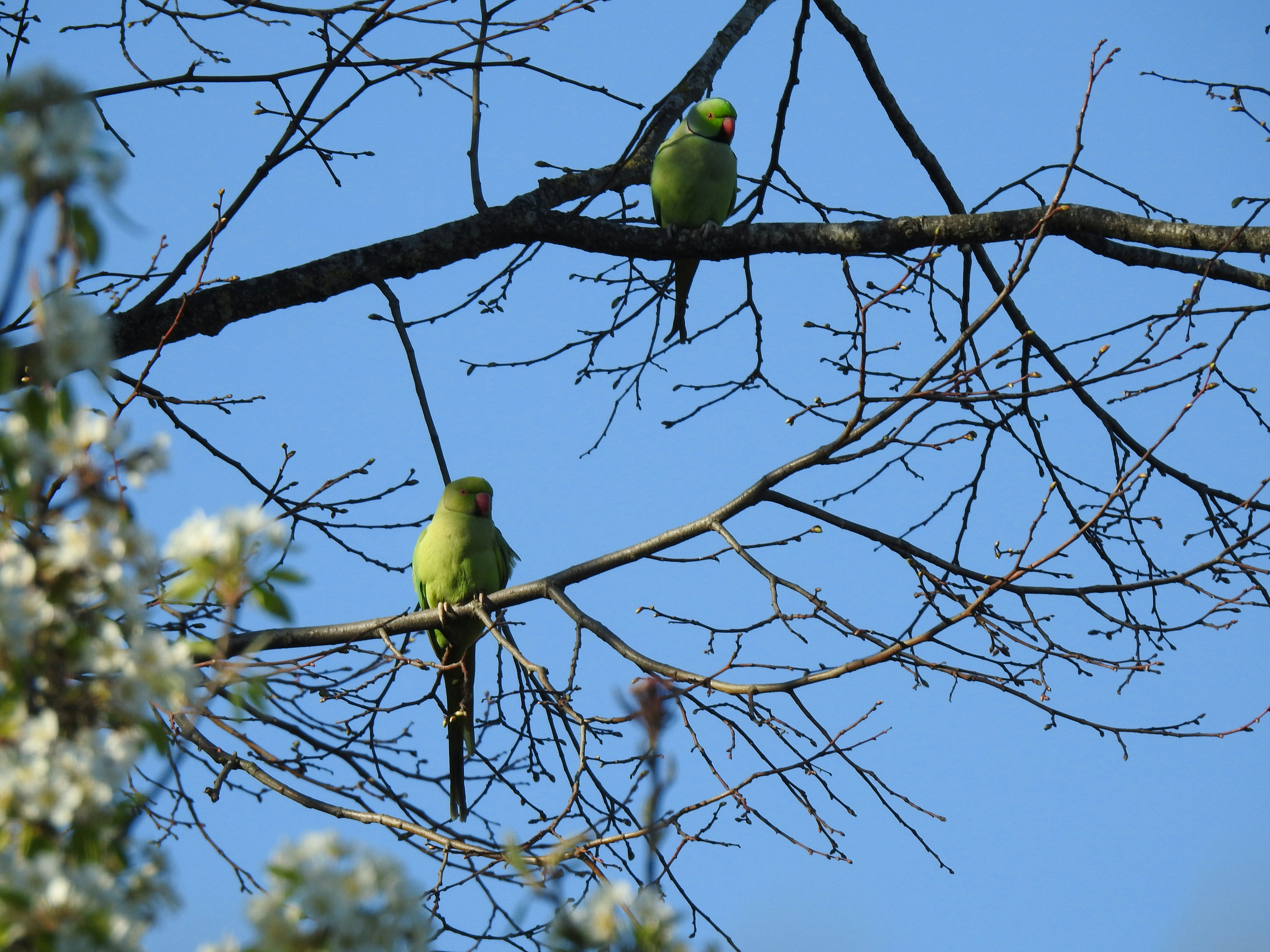 Photo by vijaychadha