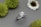 A silver ring with a large round diamond at its center is displayed on a gray textured surface, surrounded by several green and white flowers.