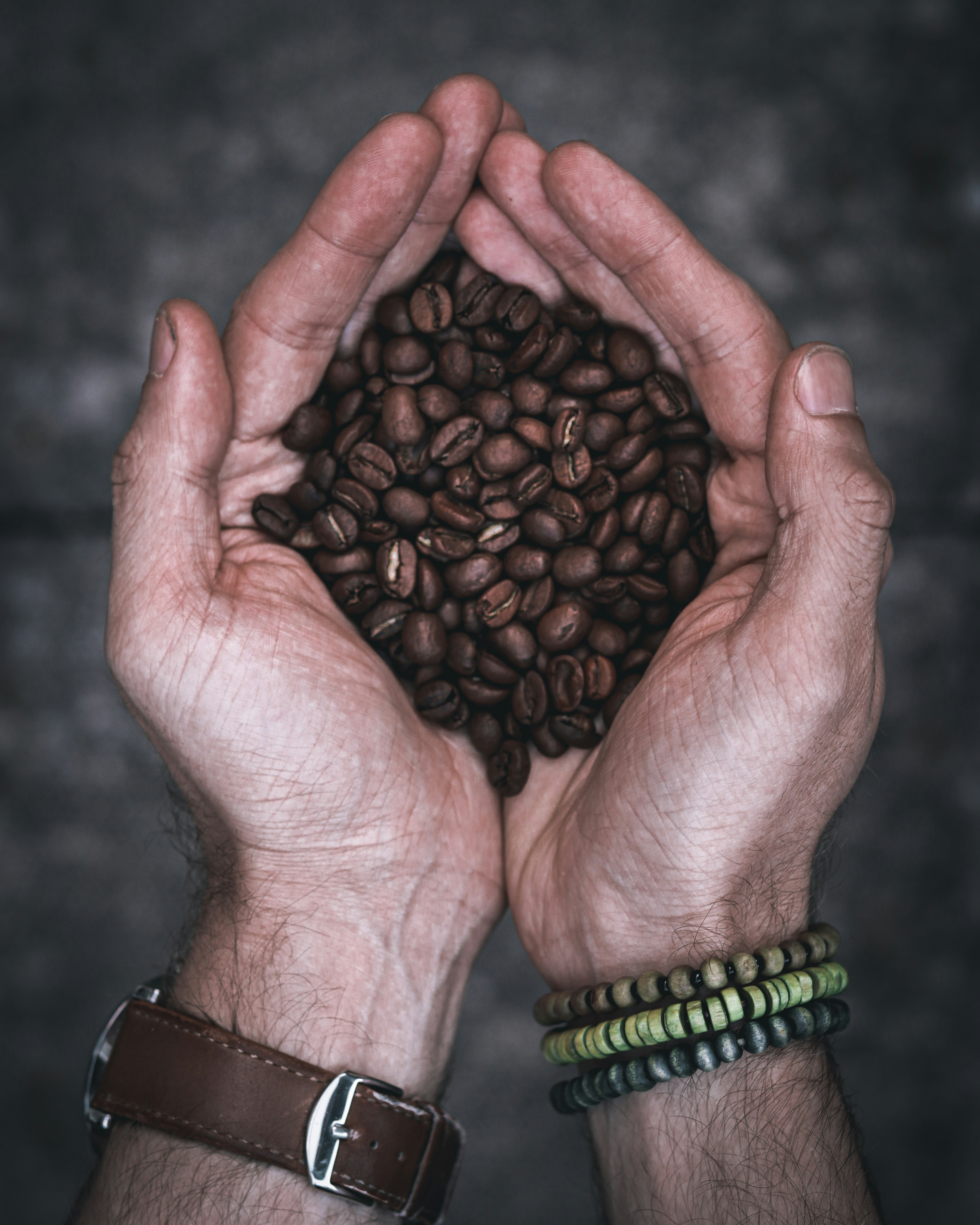 person holding brown pine cone