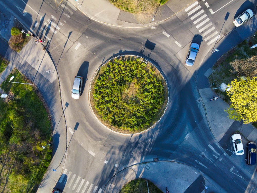 auto su strada durante il giorno