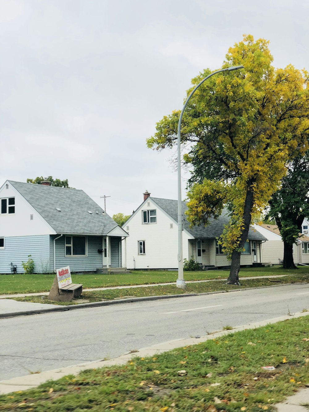 white wooden house near green tree under white sky during daytime