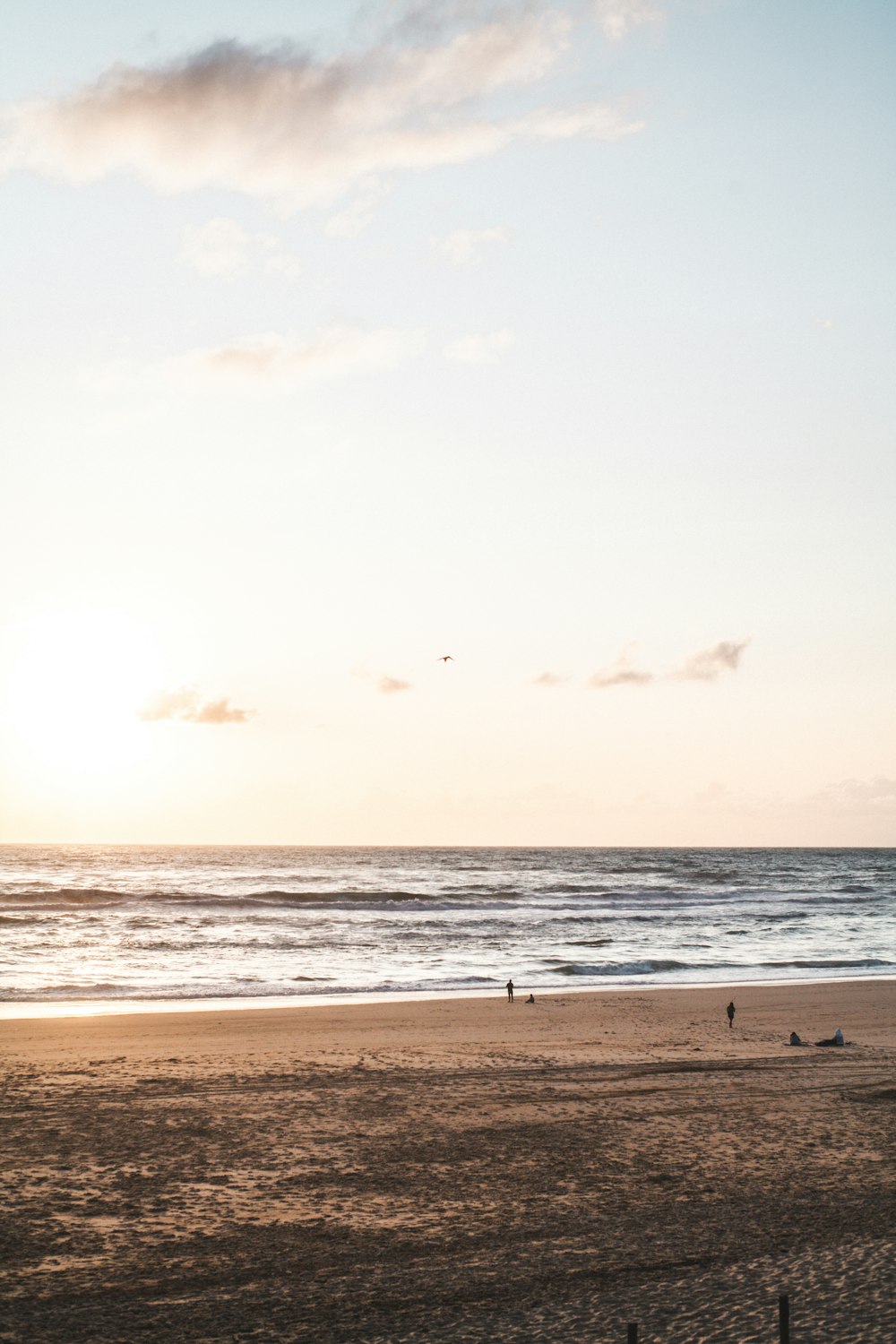 people on beach during sunset