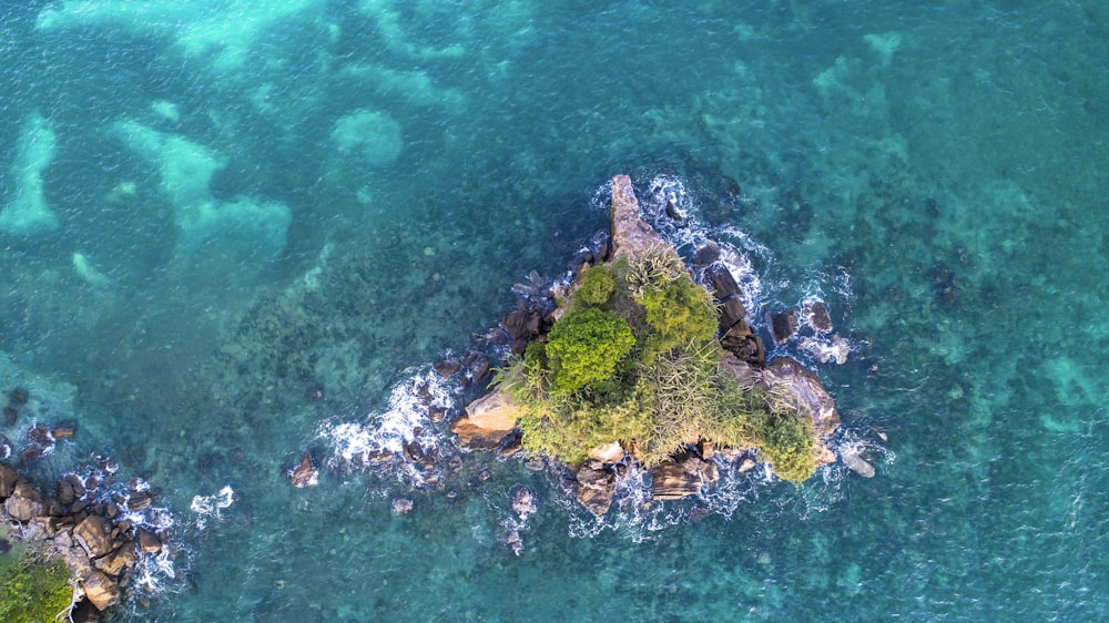 aerial view of green and brown island on body of water during daytime