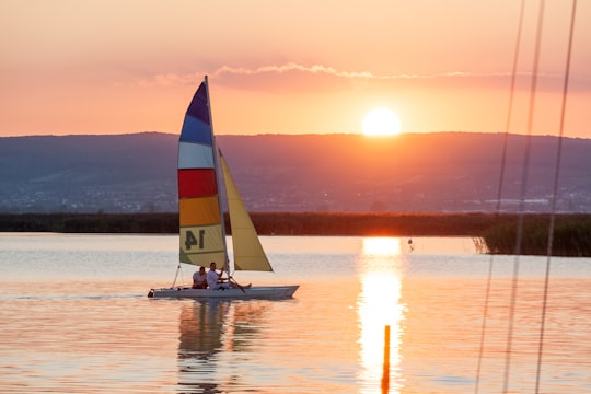 white and red sail boat on sea during sunset in Neusiedl am See Austria
