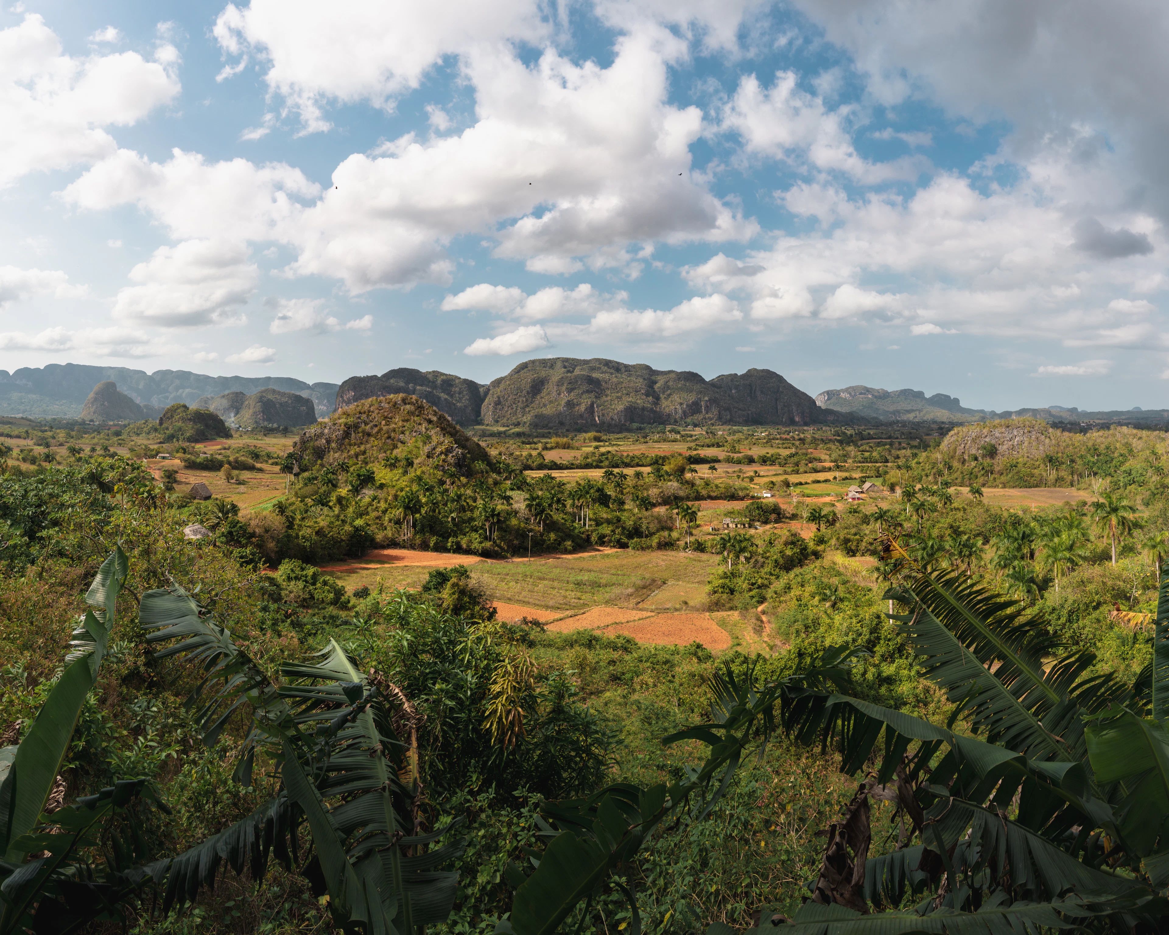 The Viñales Valley: palms, red-earth fields and limestone mogotes under a cloud-flecked sky