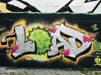 Graffiti artwork featuring the word 'LOAD' set against a wall, with the letter 'O' stylized as a green virus. The surrounding letters are decorated with pink splatters, bordered by black and highlighted with yellow. The phrase 'SHARE YOUR TOILETPAPER!' is written below.