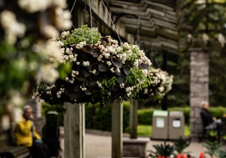 Diseño de Jardines y decoración de zonas para eventos