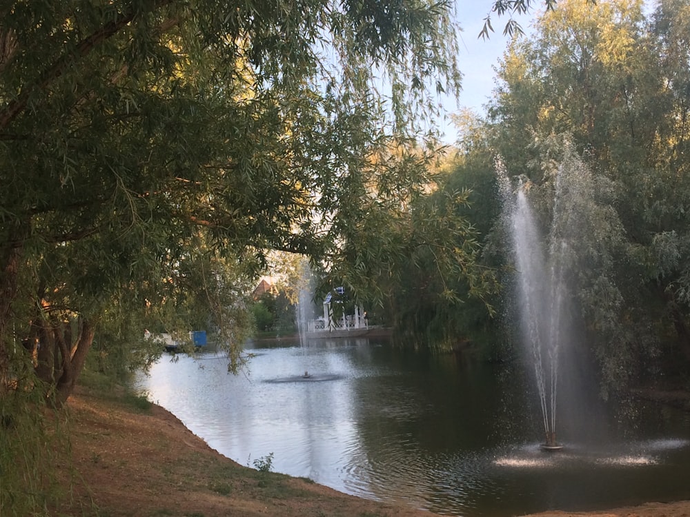 water fountain in the middle of green trees