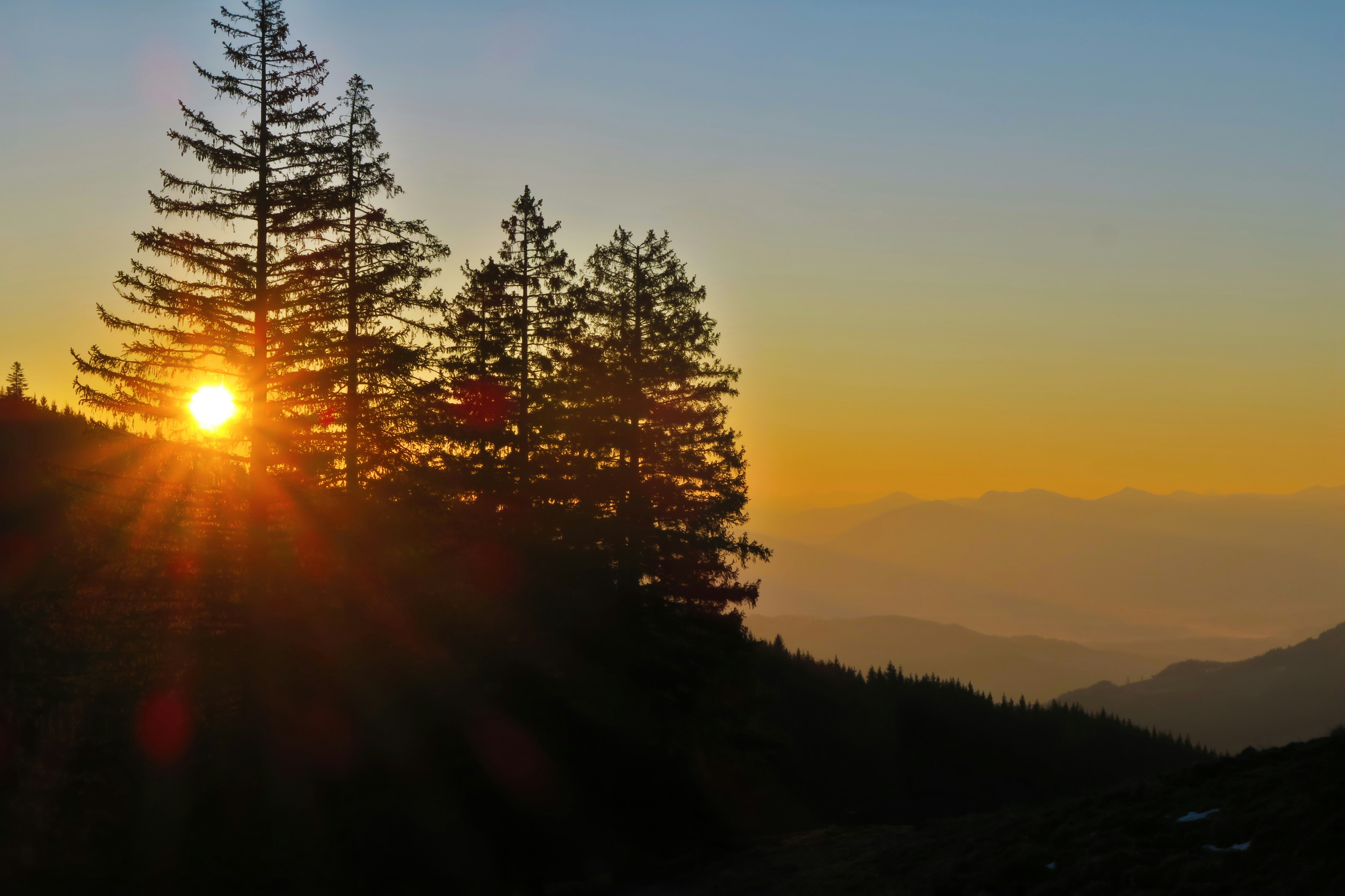 Photo by svenglueckspilz