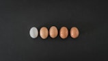 A row of five eggs is aligned horizontally on a dark surface. The first egg on the left is white, while the remaining four eggs are brown. They are evenly spaced and centered in the image.