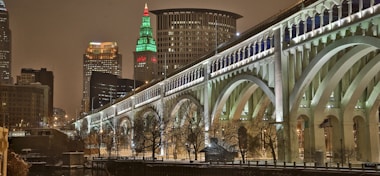 brown and white concrete bridge