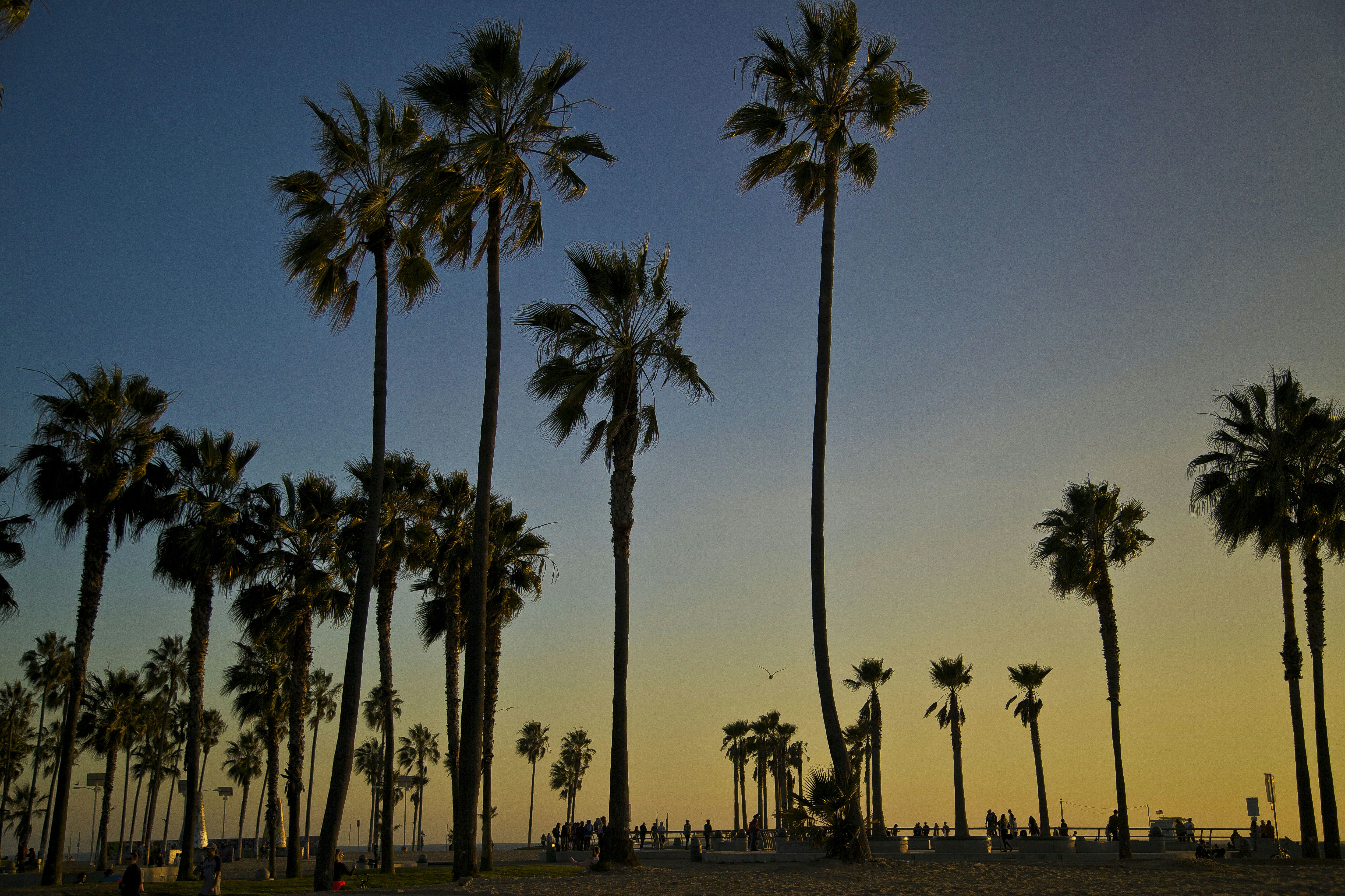 Photo by leo_visions_