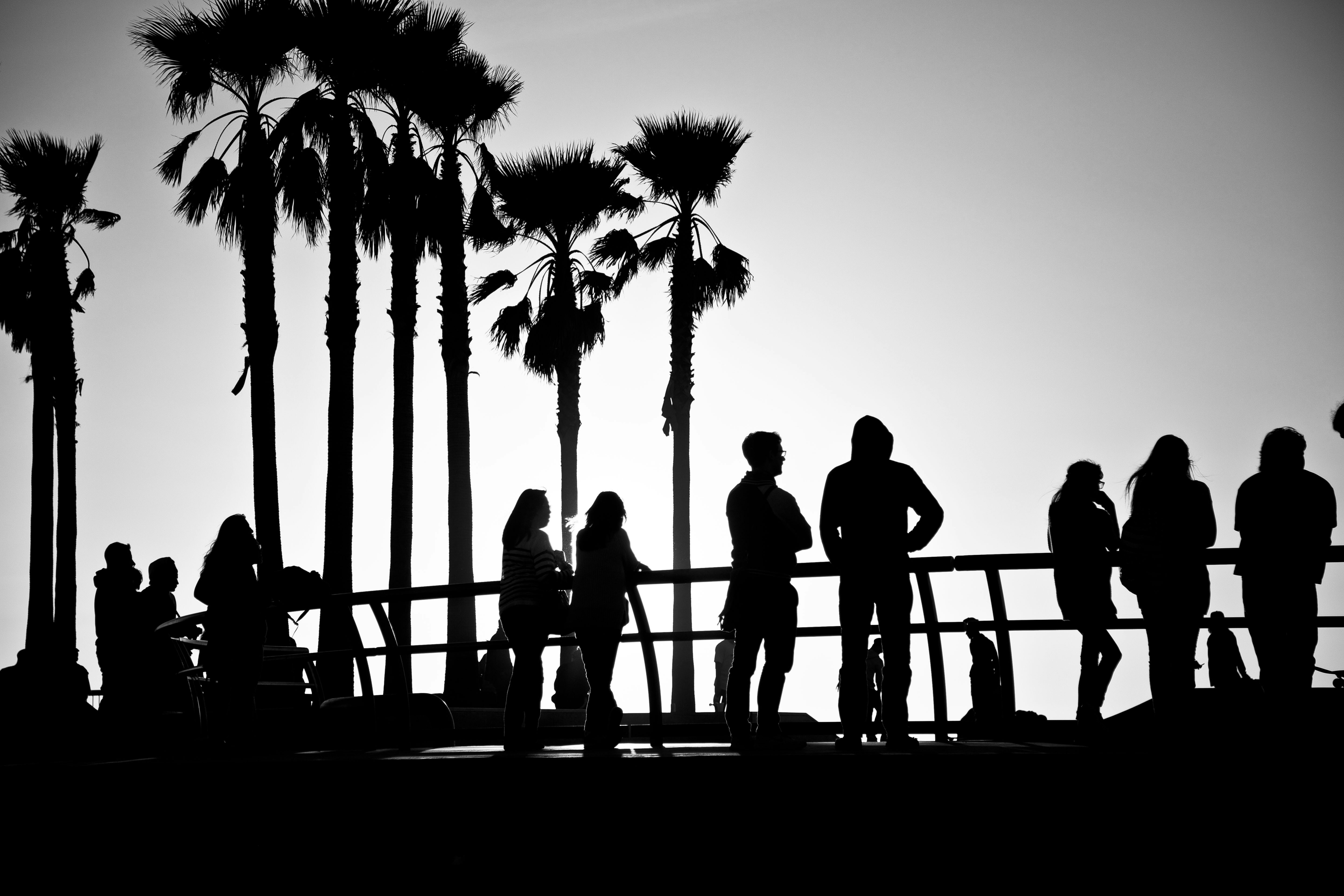 Silhouette de personnes debout sur les escaliers photo – Image gratuite de  Humain sur Unsplash, image size:3000x2000