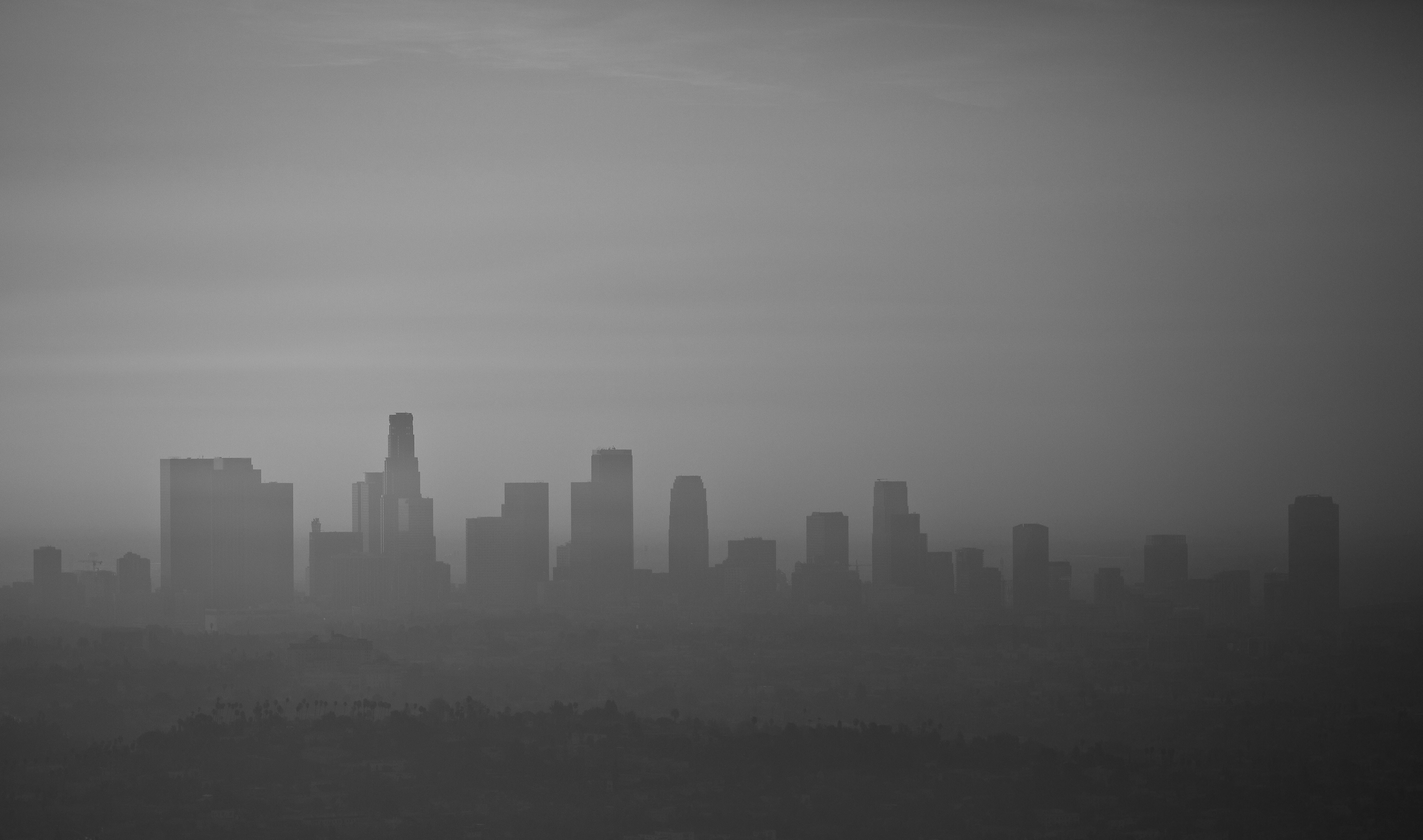 Photo by leo_visions_