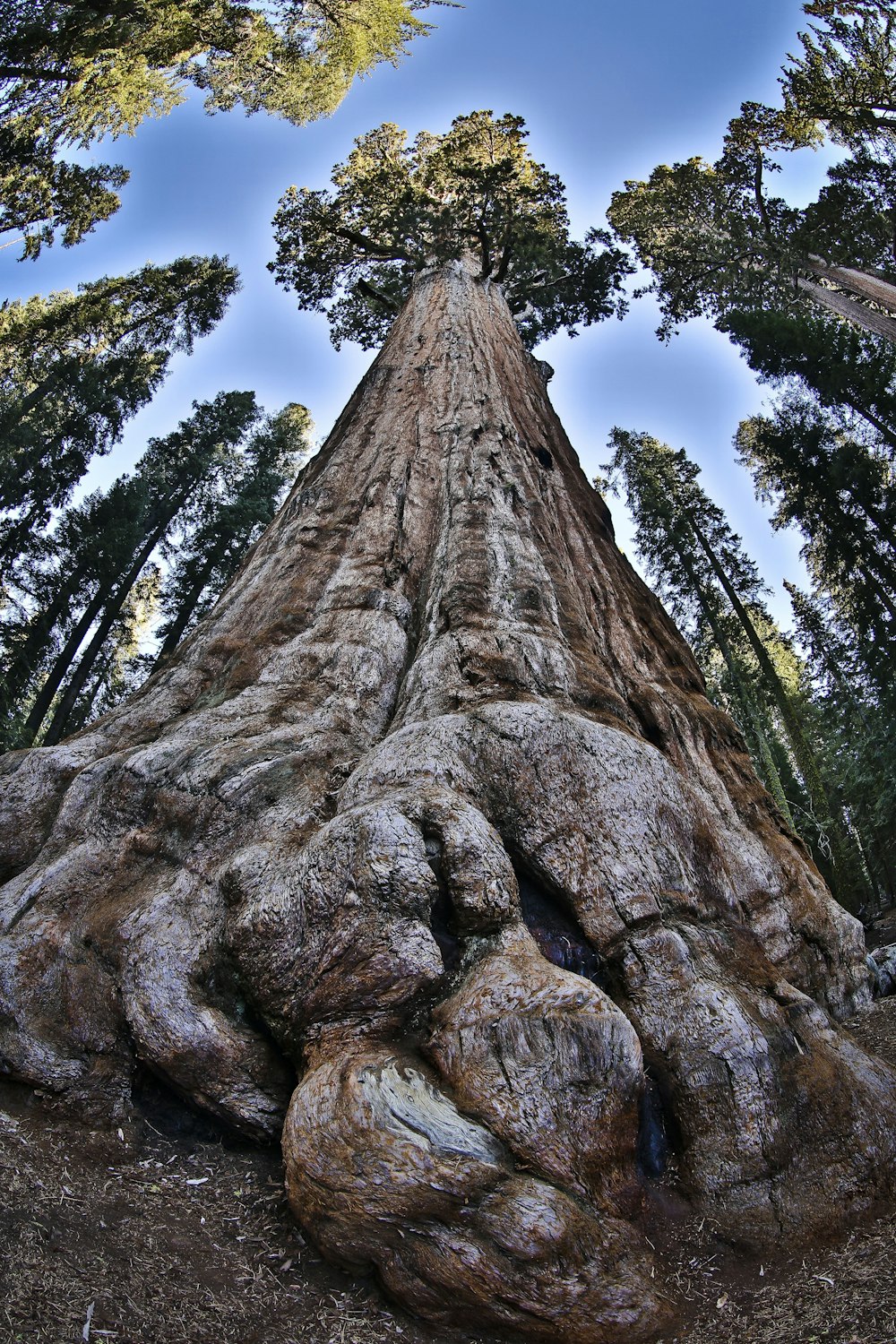 brown rock formation under blue sky during daytime