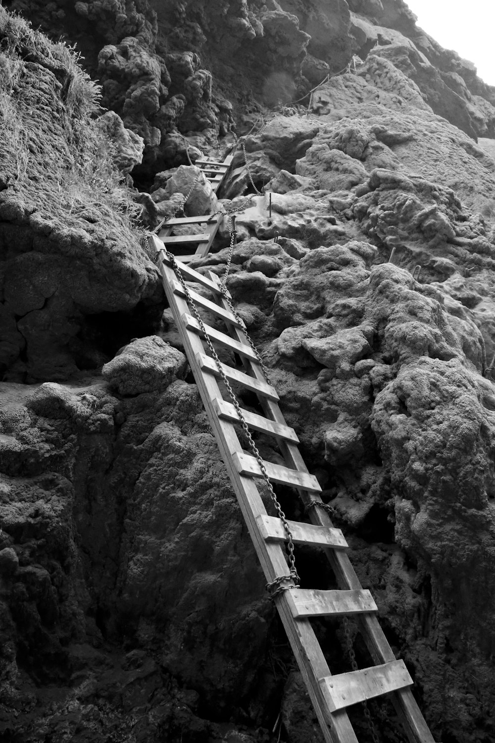 grayscale photo of wooden bridge