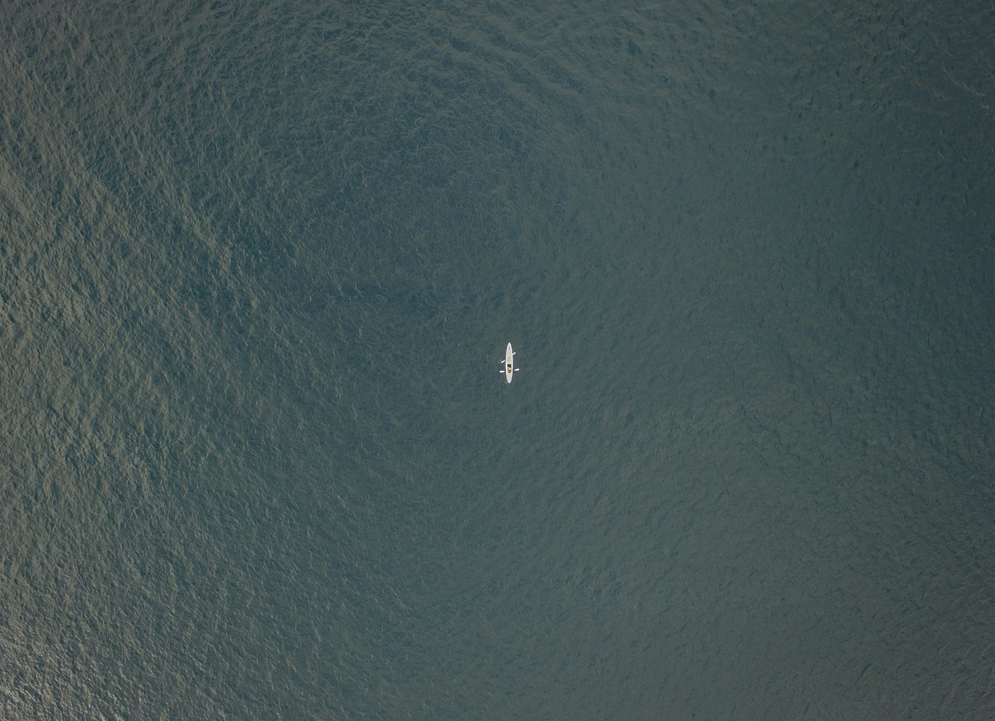 Photo by leo_visions_