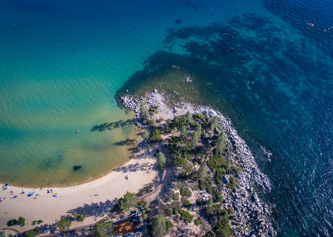 aerial view of green trees and body of water during daytime