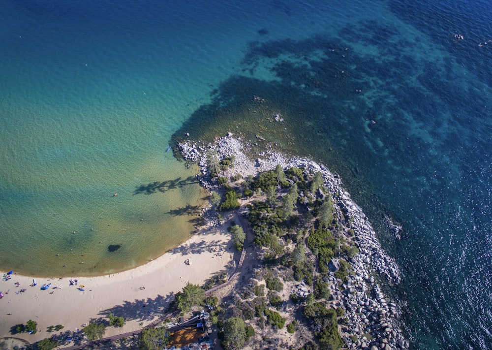 Veduta aerea di alberi verdi e specchio d'acqua durante il giorno