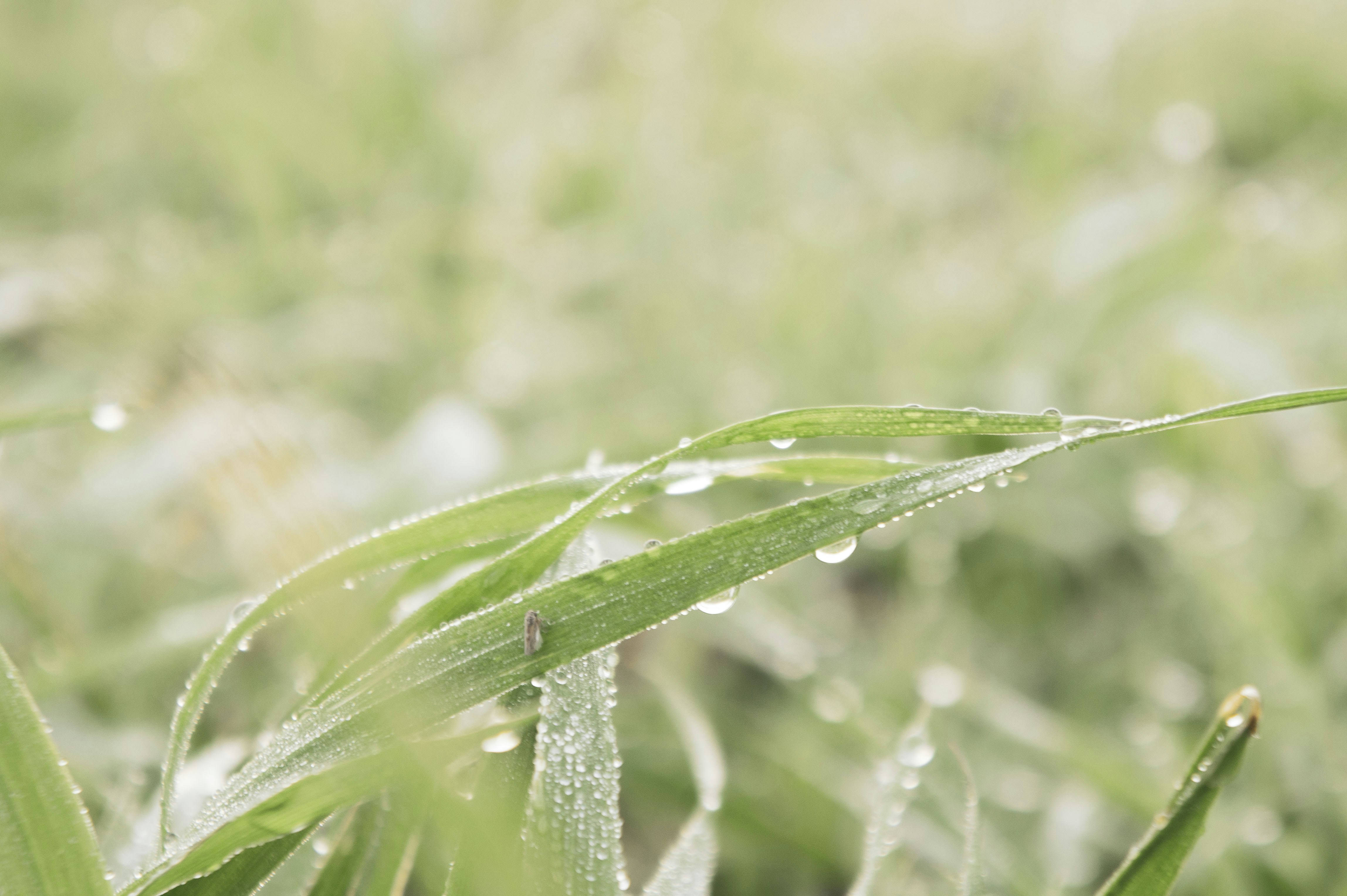 Photo by joselinadulce