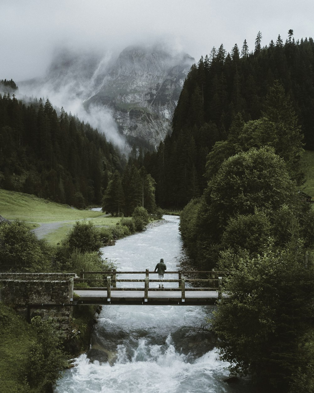 brown wooden dock on lake near green trees and mountain during daytime