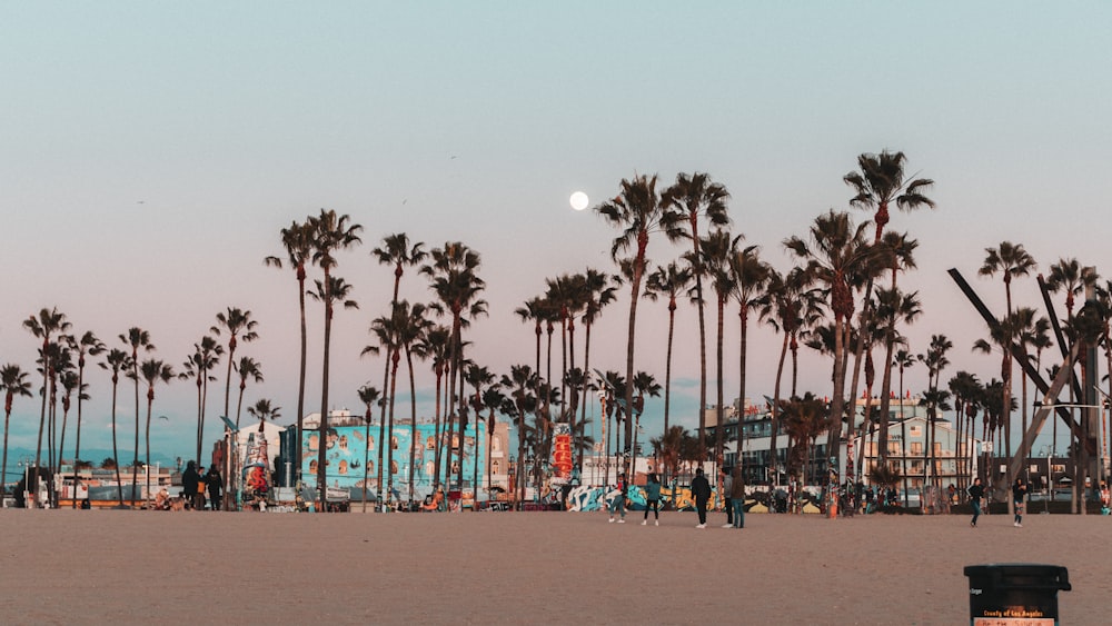 people on beach during daytime