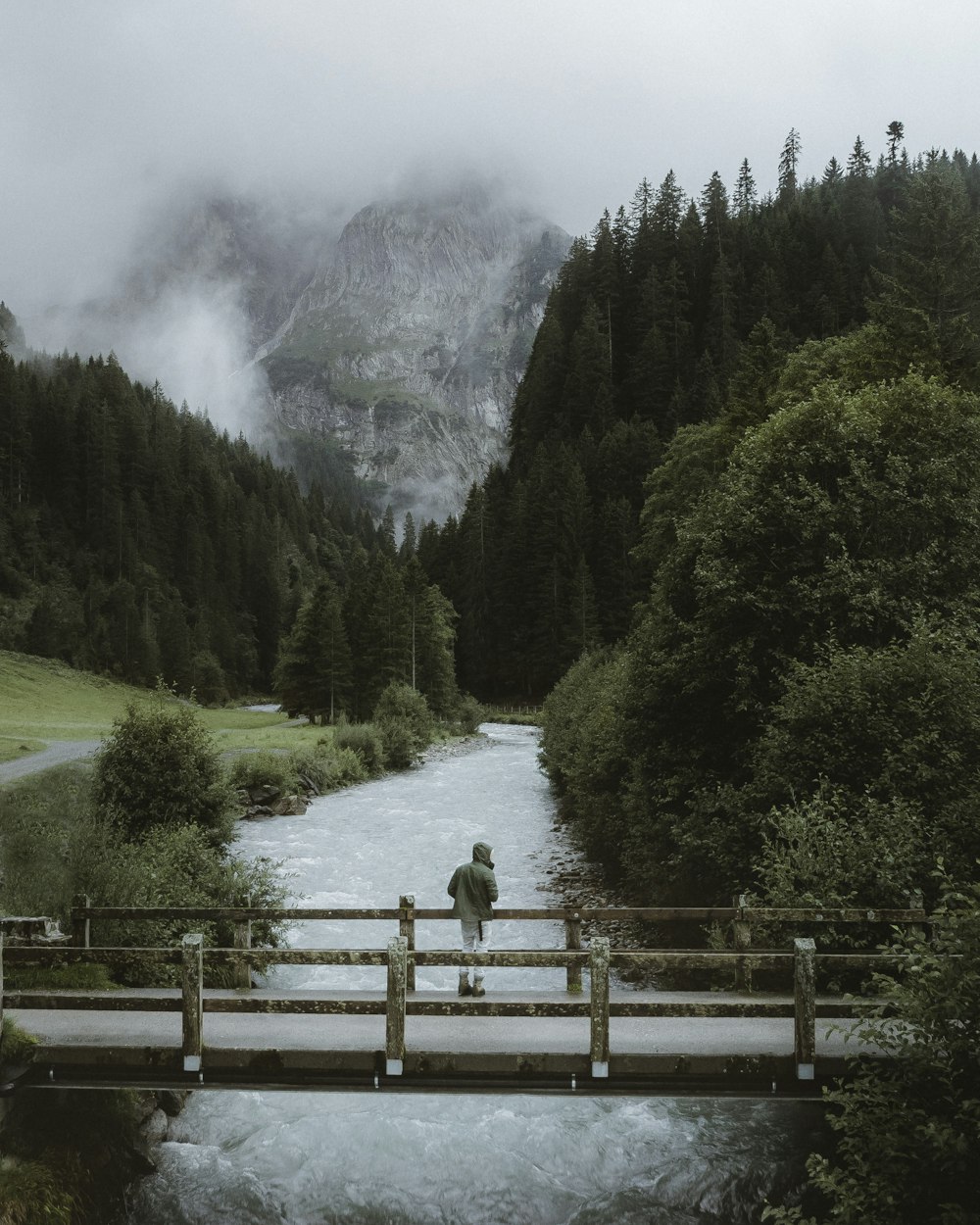 person in gray shirt sitting on brown wooden bench near green trees and mountain during daytime