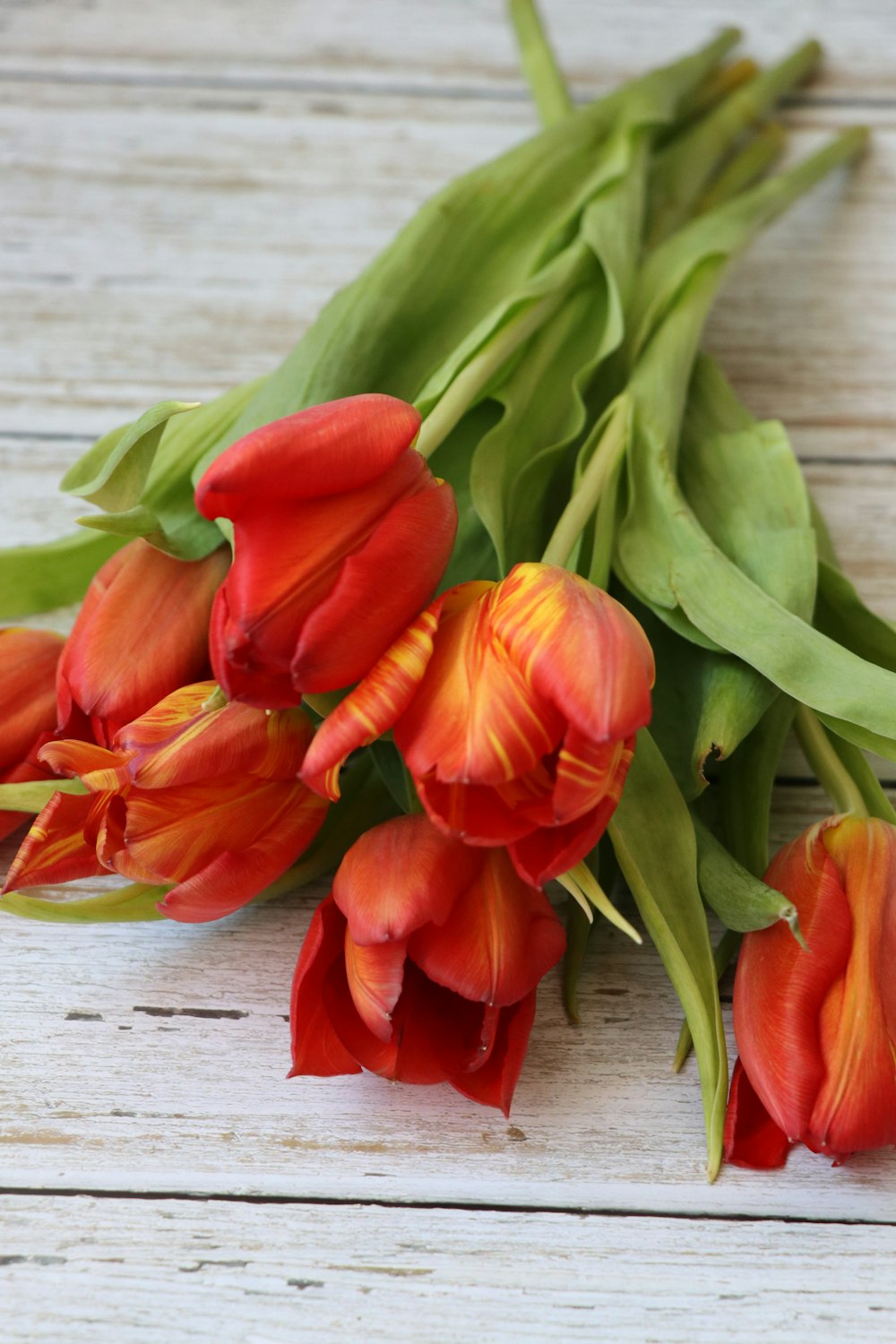 red tulips on gray wooden surface
